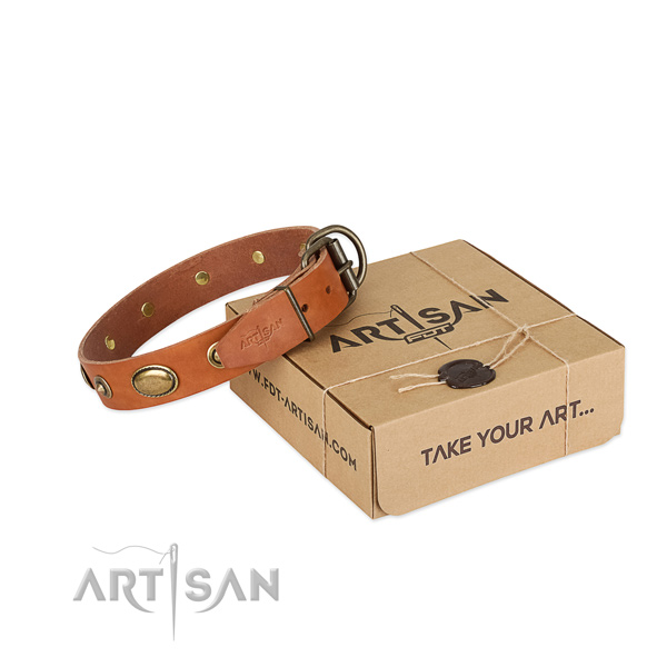 Strong fittings on full grain genuine leather dog collar for your canine
