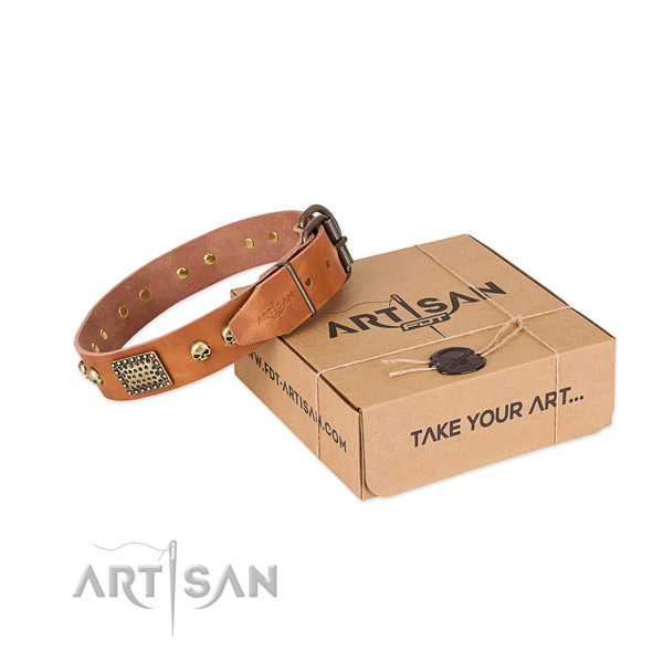 Rust resistant decorations on dog collar for comfortable wearing