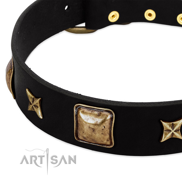 Natural leather dog collar with inimitable embellishments