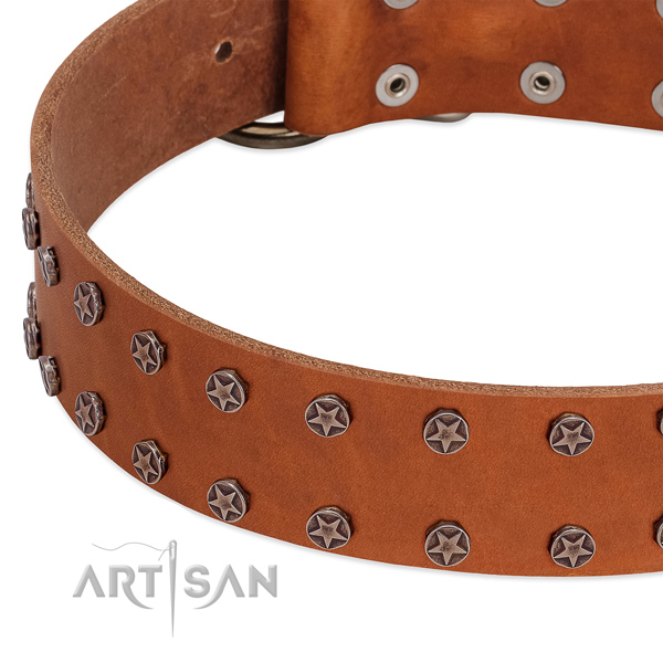 Top rate full grain genuine leather dog collar with adornments for your doggie