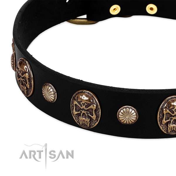 Full grain leather dog collar with impressive studs