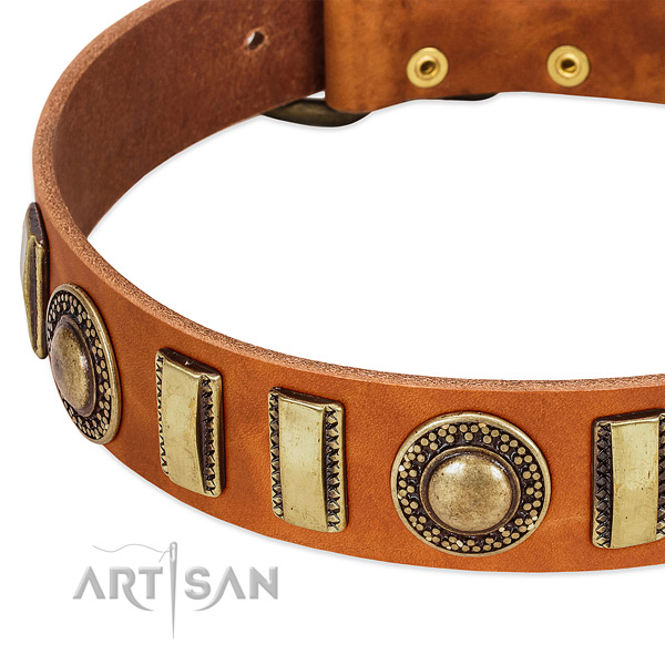 Reliable leather dog collar with strong traditional buckle