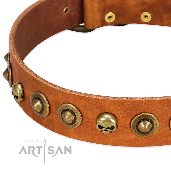 Stylish design decorations on leather collar for your four-legged friend