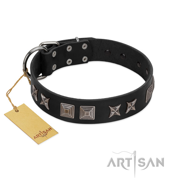 Leather dog collar with incredible studs created doggie