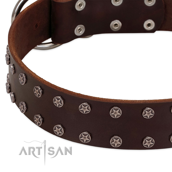 Soft to touch leather dog collar with adornments for your doggie