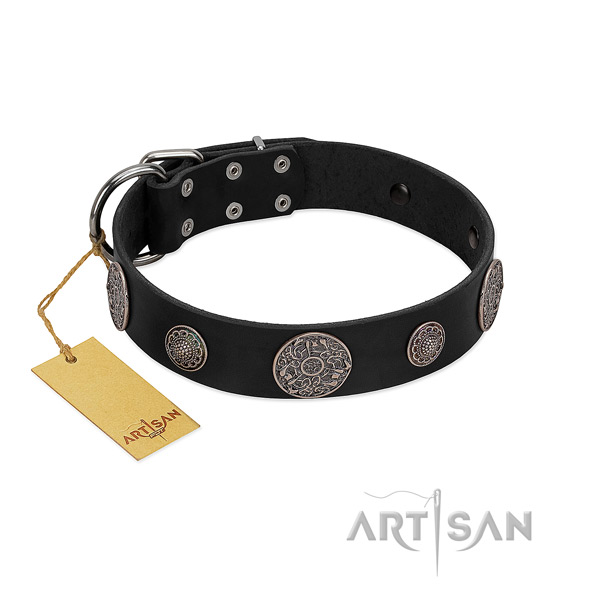 Exquisite full grain leather collar for your attractive four-legged friend