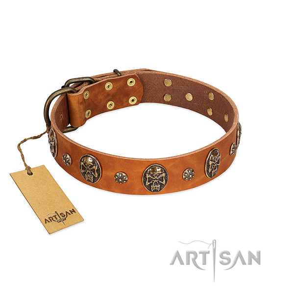 Decorated genuine leather collar for your four-legged friend