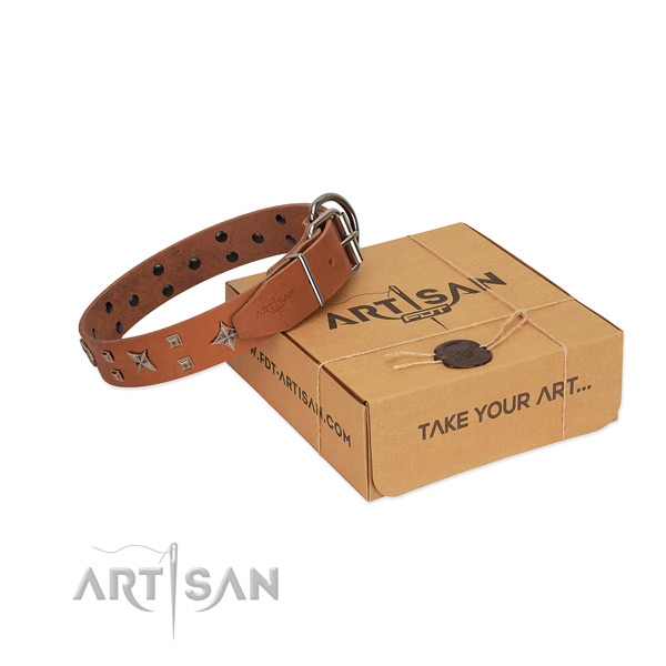 Designer adornments on full grain genuine leather collar for your doggie