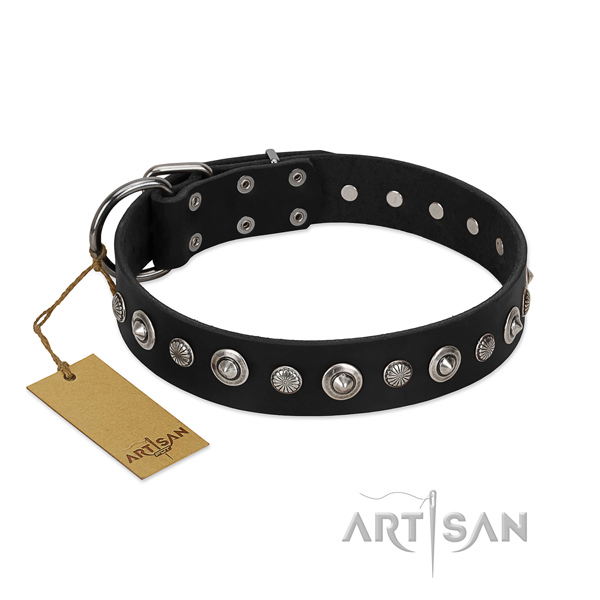 Top quality full grain genuine leather dog collar with trendy embellishments