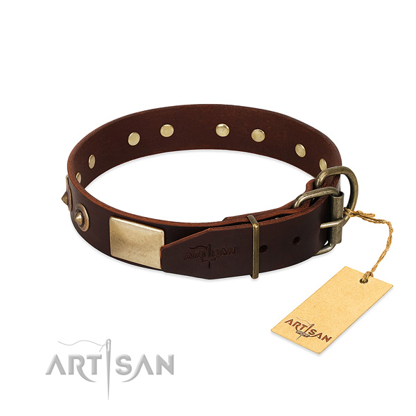 Corrosion proof traditional buckle on handy use dog collar