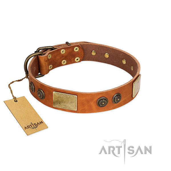 Convenient genuine leather dog collar for basic training