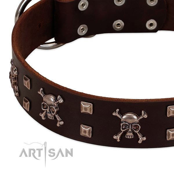 Exceptional collar of full grain leather for your stylish pet