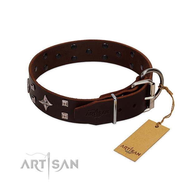 Trendy genuine leather collar for your four-legged friend walking