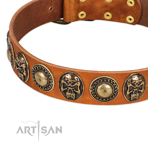 Durable adornments on full grain genuine leather dog collar for your pet