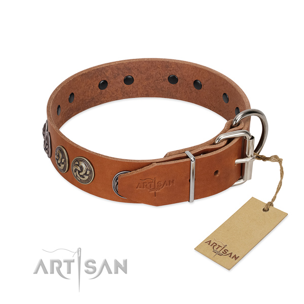 Reliable traditional buckle on exquisite full grain natural leather dog collar