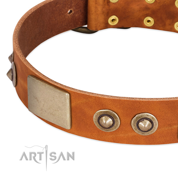 Corrosion resistant buckle on full grain leather dog collar for your canine