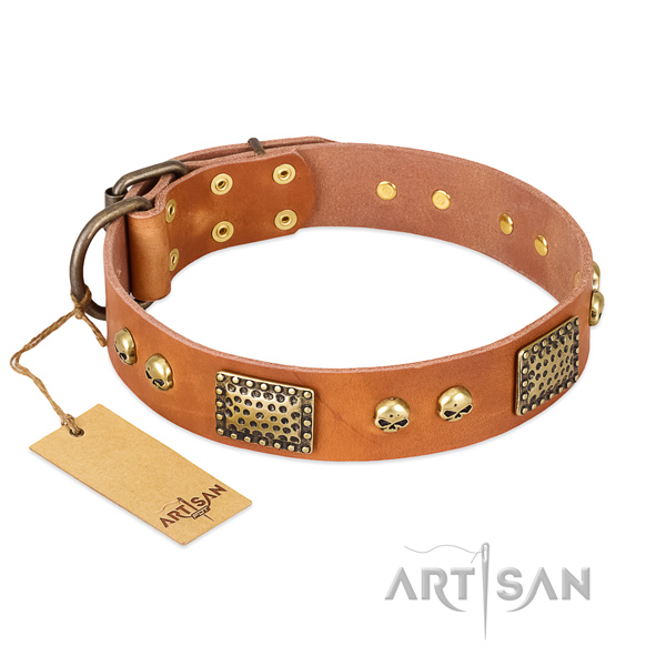 Easy to adjust leather dog collar for stylish walking your dog