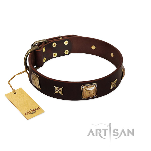 Extraordinary genuine leather collar for your dog