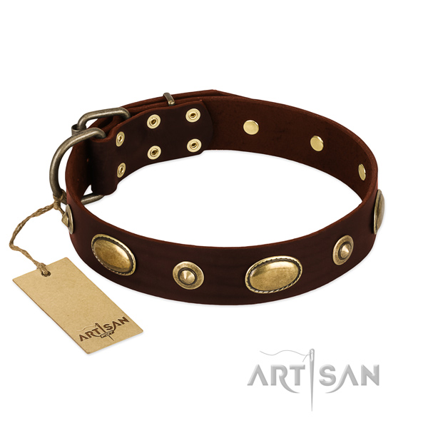 Amazing full grain leather collar for your doggie