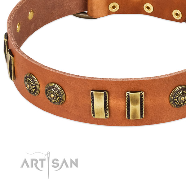 Corrosion proof embellishments on genuine leather dog collar for your doggie