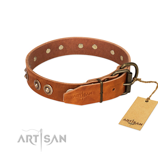 Reliable adornments on leather dog collar for your dog