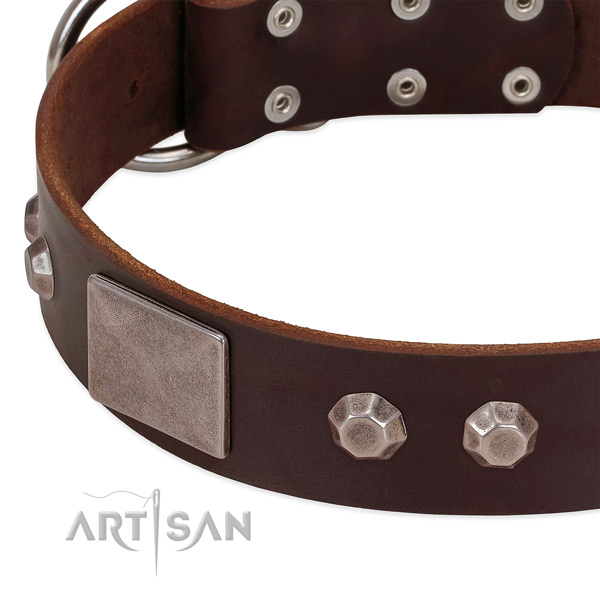 Everyday use reliable genuine leather dog collar