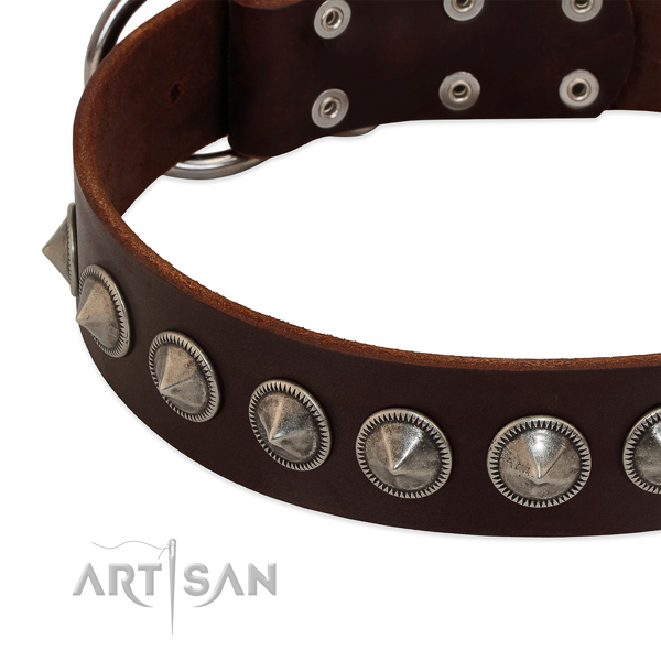 Comfy wearing decorated full grain leather collar for your doggie