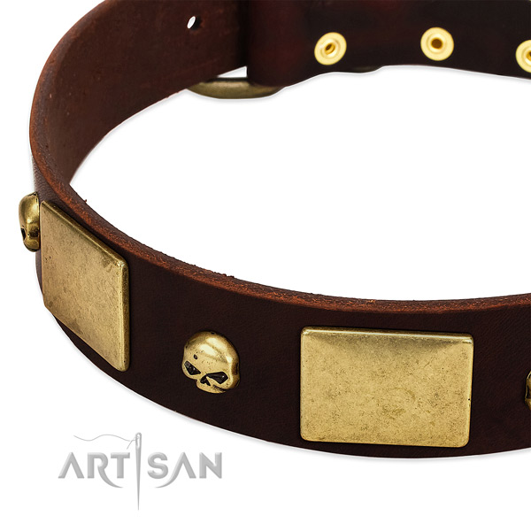 Durable leather collar with corrosion proof embellishments for your dog