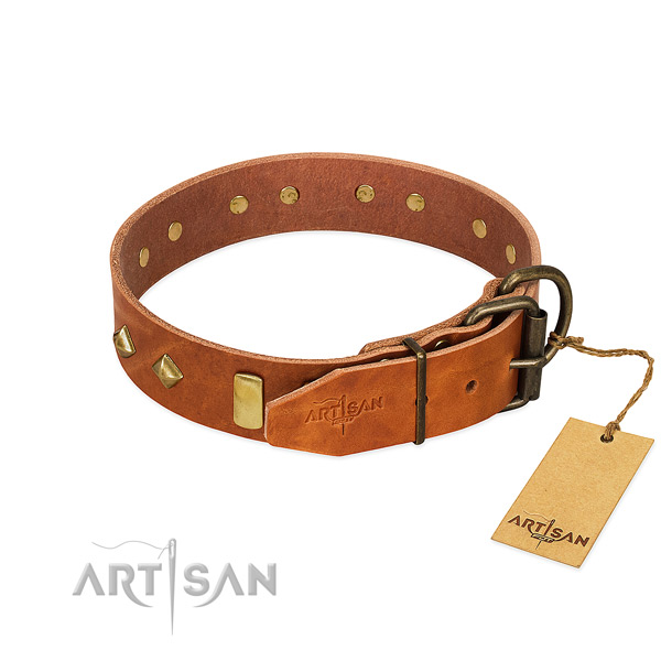 Comfortable wearing full grain leather dog collar with inimitable adornments