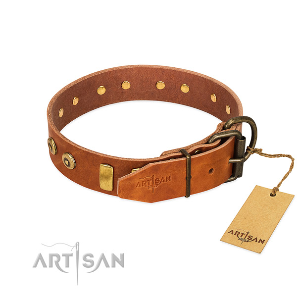 Exceptional decorated full grain natural leather dog collar of quality material