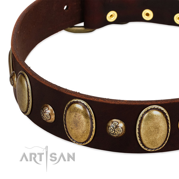 Natural leather dog collar with unusual studs