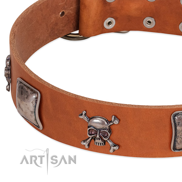 Corrosion proof adornments on leather dog collar