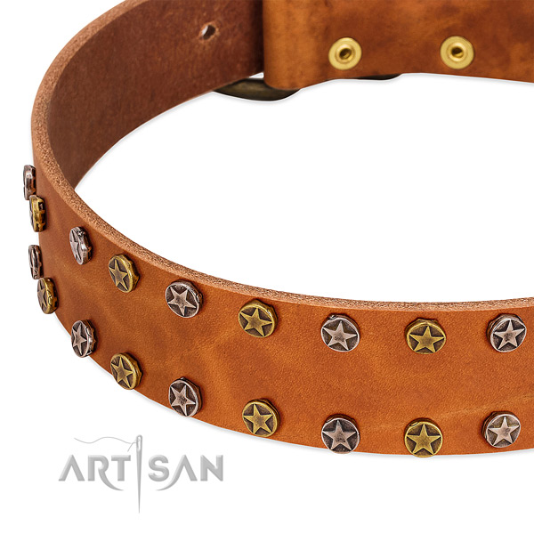 Fancy walking full grain natural leather dog collar with designer decorations