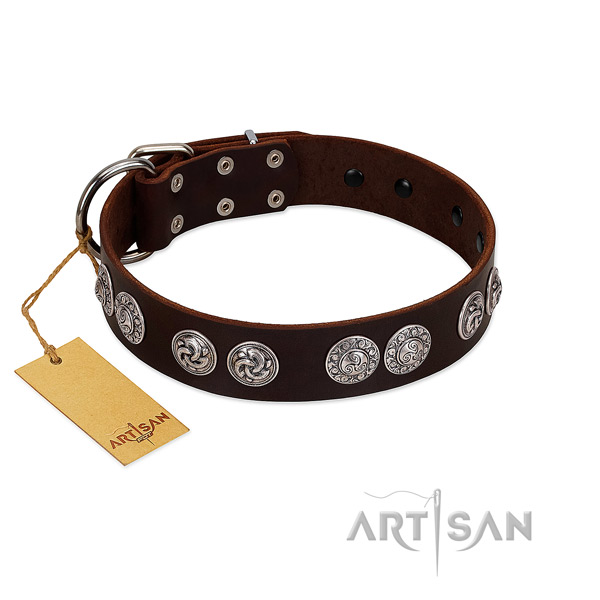 Significant full grain leather collar for your pet walking