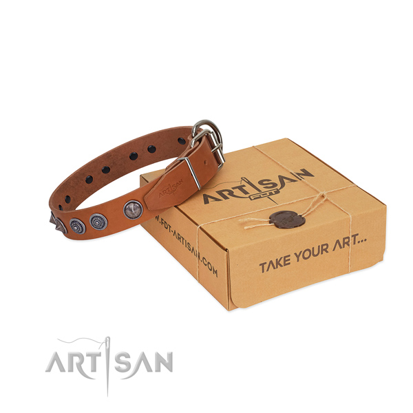 Strong traditional buckle on genuine leather dog collar for basic training your canine