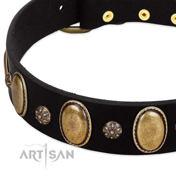 Fancy walking gentle to touch full grain leather dog collar