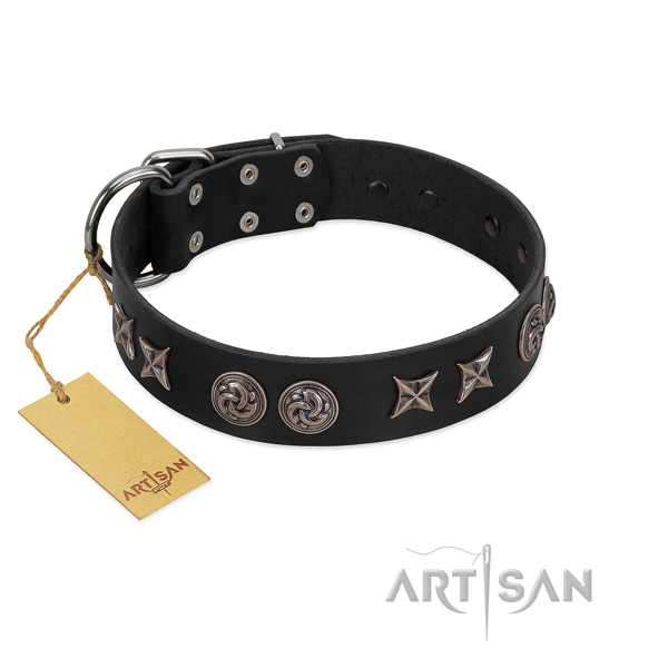 Adorned full grain natural leather dog collar for comfy wearing