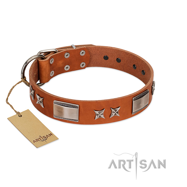 Top notch genuine leather dog collar with rust resistant traditional buckle
