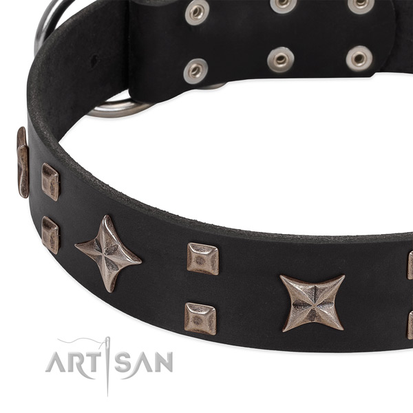 Rust-proof traditional buckle on full grain genuine leather collar for daily walking your pet