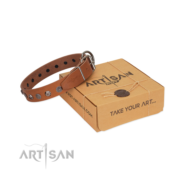 Best quality full grain leather collar with adornments for your four-legged friend