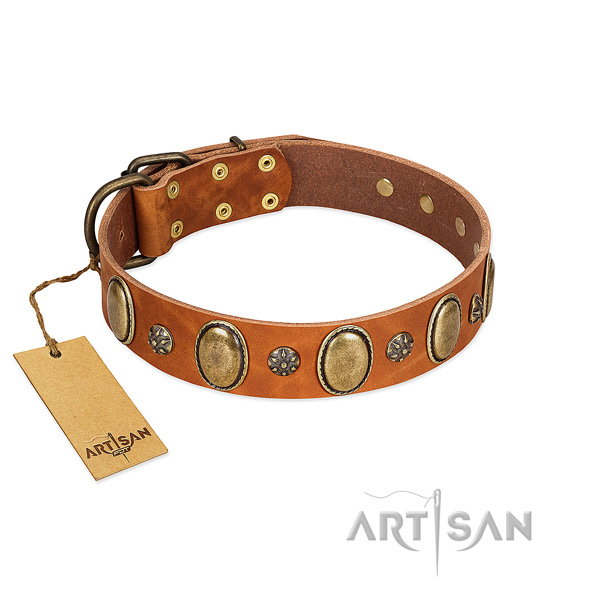 Stylish walking top notch full grain genuine leather dog collar with embellishments