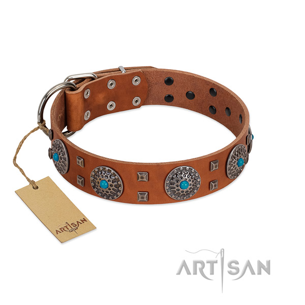 Fancy walking natural leather dog collar with incredible embellishments