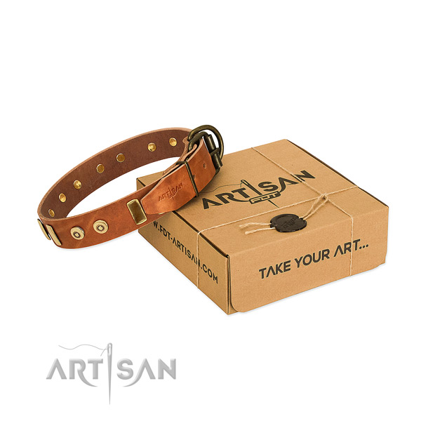 Leather dog collar with stunning studs for stylish walking