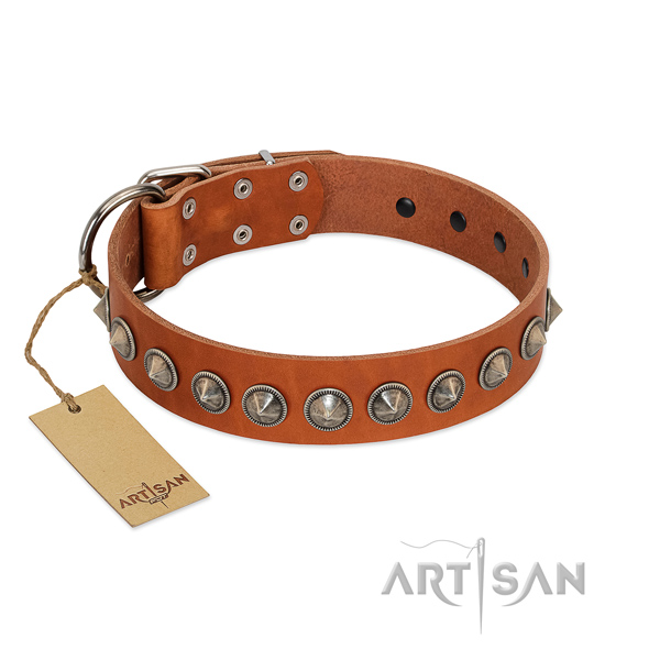 Natural leather dog collar with trendy decorations handmade pet