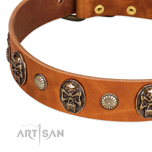 Reliable hardware on natural genuine leather dog collar for your pet