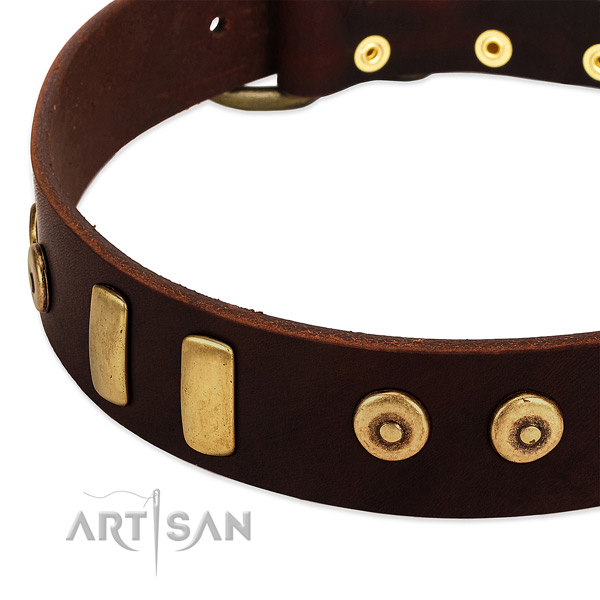 Durable full grain genuine leather collar with significant adornments for your dog