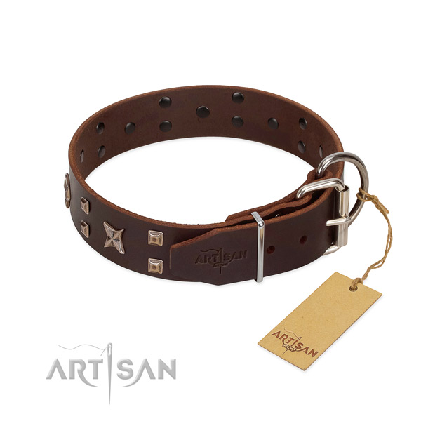 Full grain genuine leather dog collar with stunning embellishments