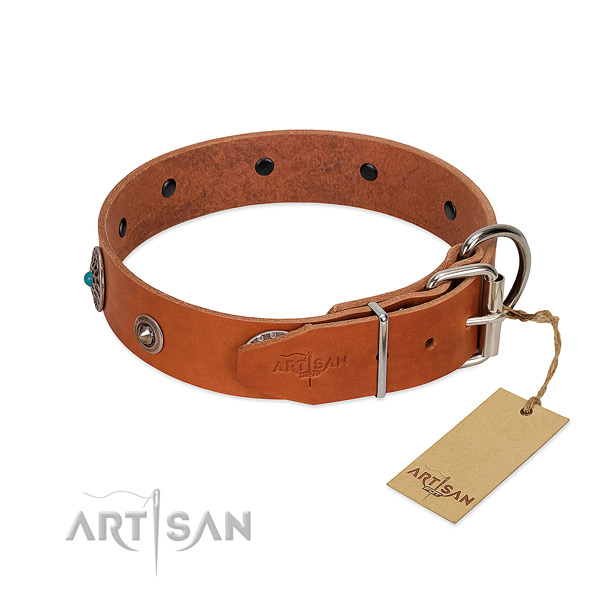 Leather dog collar with amazing decorations