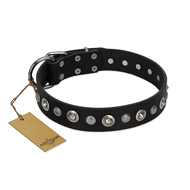 "Genteel Charm" FDT Artisan Black Leather German Shepherd Collar with Silver-like Round Conchos "Genteel Charm" FDT Artisan Black Leather German Shepherd Collar with Silver-like Round Conchos