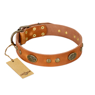 "Sun Beams" FDT Artisan Tan Leather German Shepherd Collar with Decorations